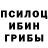 Псилоцибиновые грибы ЛСД Lisa Rios