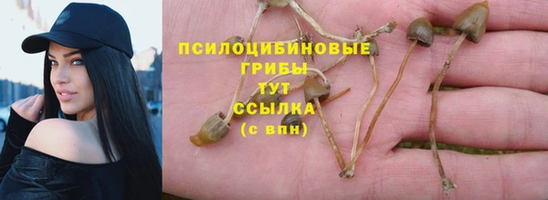 соль ск Володарск